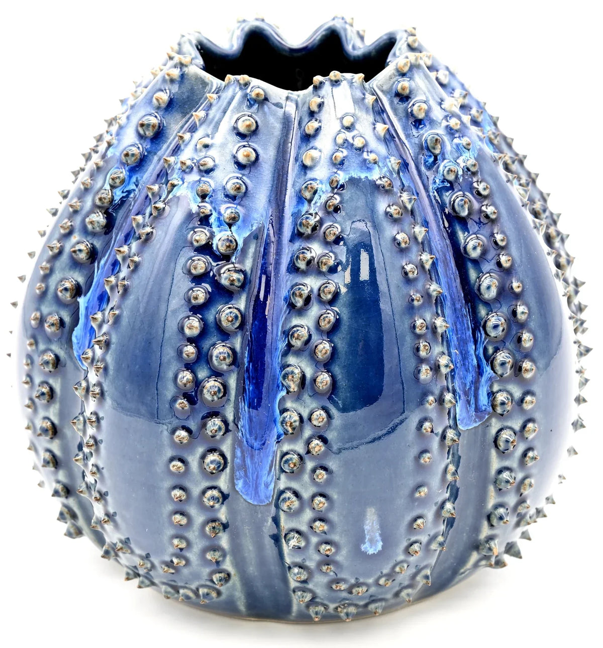 Sea Urchin Vase