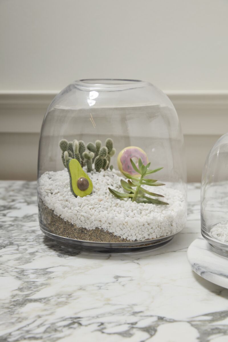Glass Terrarium