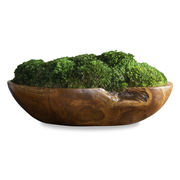 Moss Centerpiece Bowl