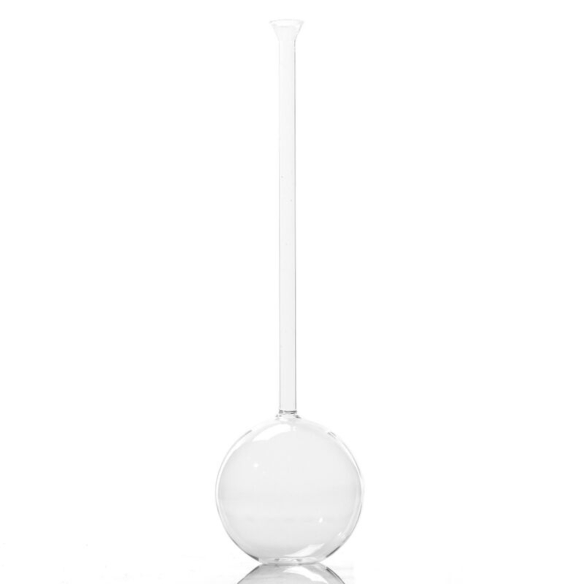 Stem Glass Vases