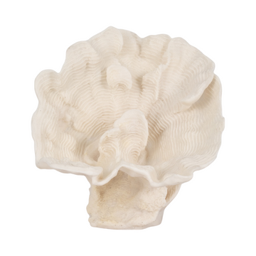 Coral Fan Centerpiece