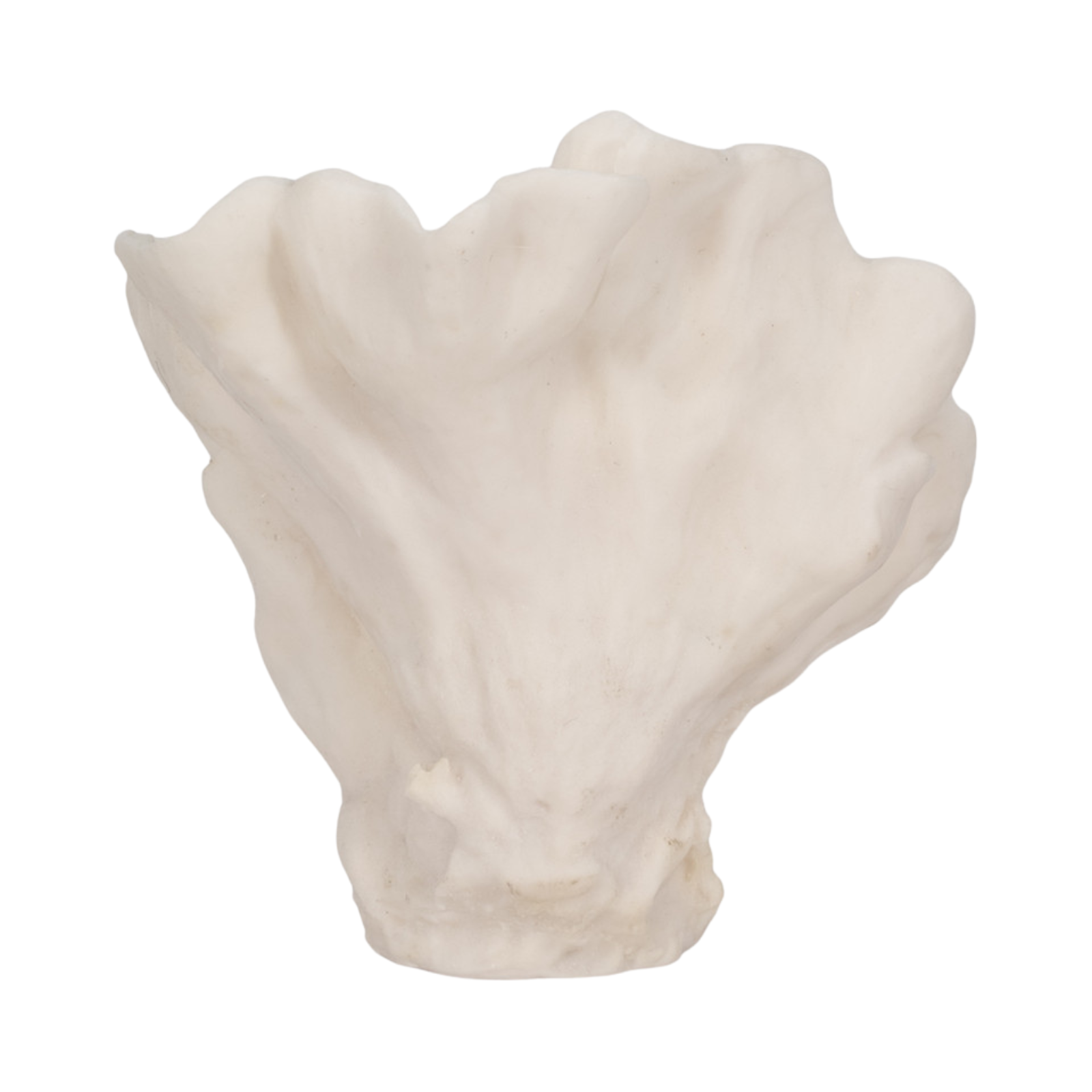 Coral Fan Centerpiece