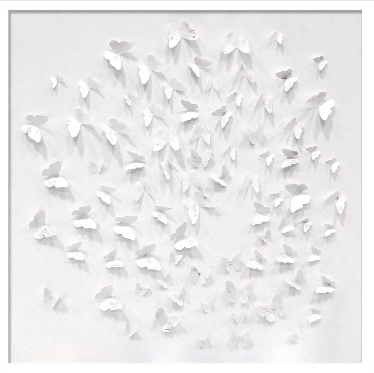 Butterfly Shadowbox
