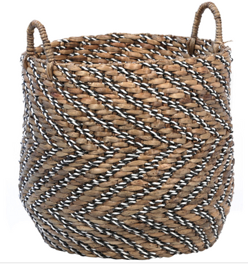 Manu Basket
