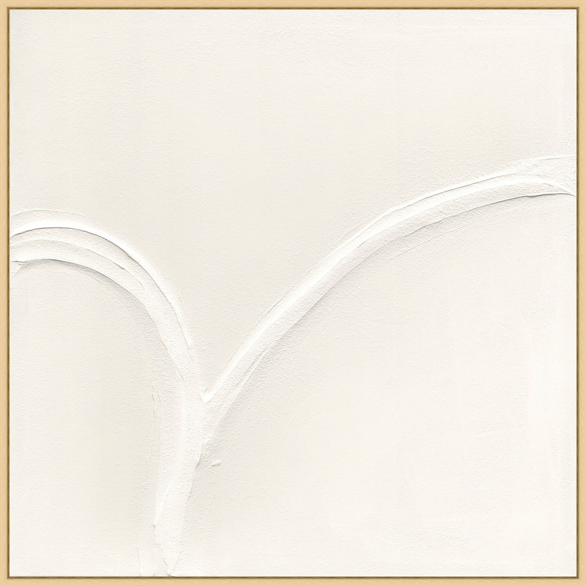 White Curves