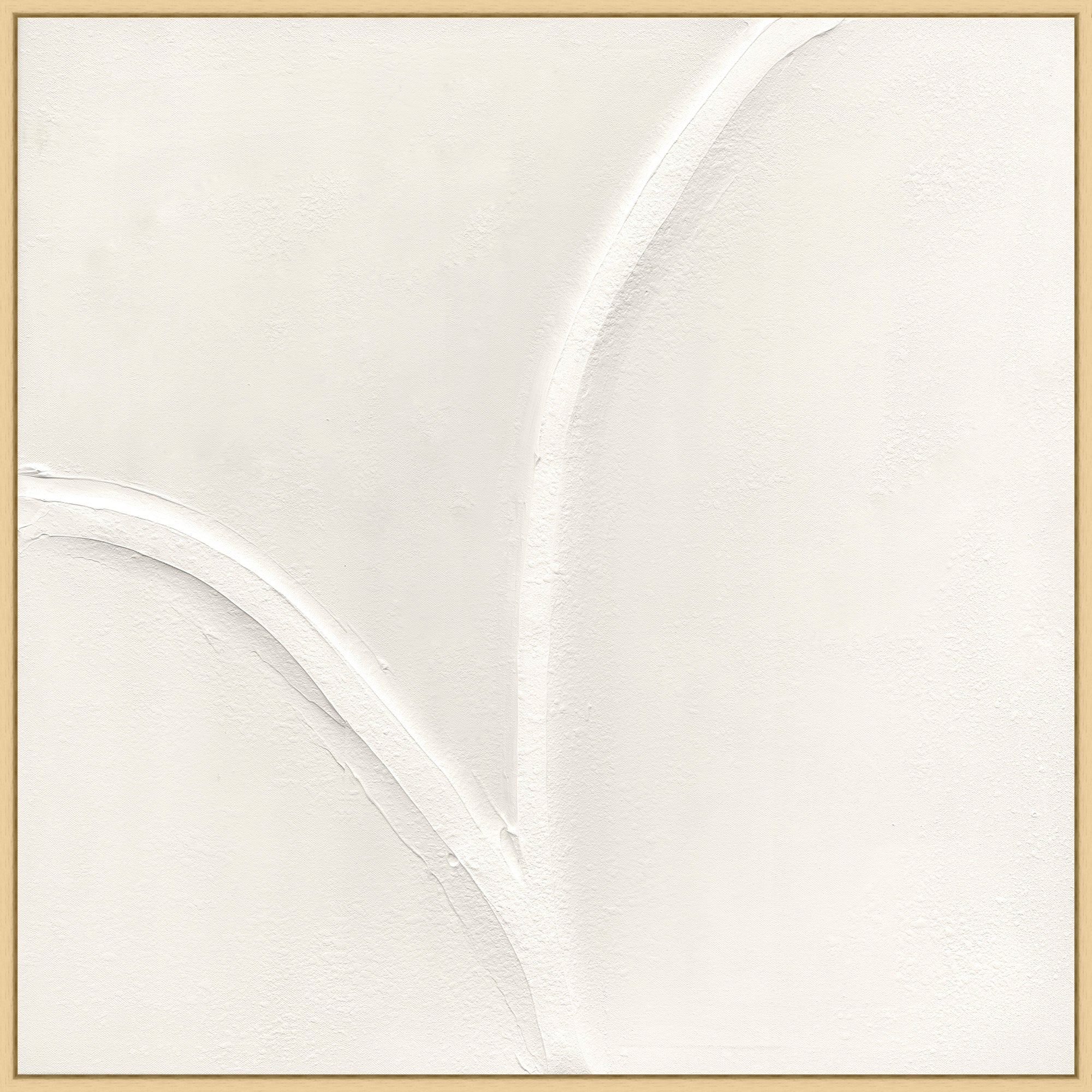 White Curves