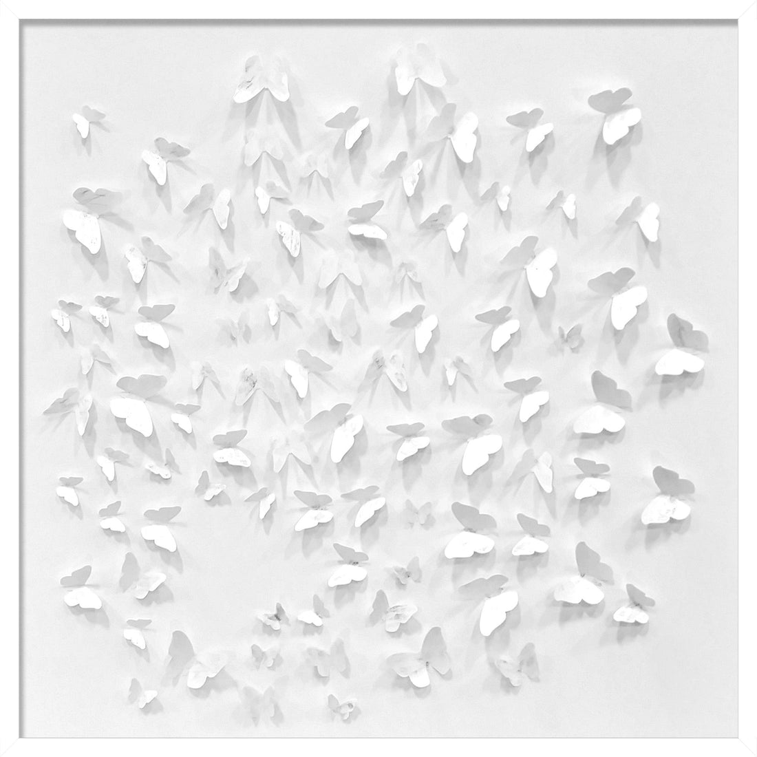 Butterfly Shadowbox