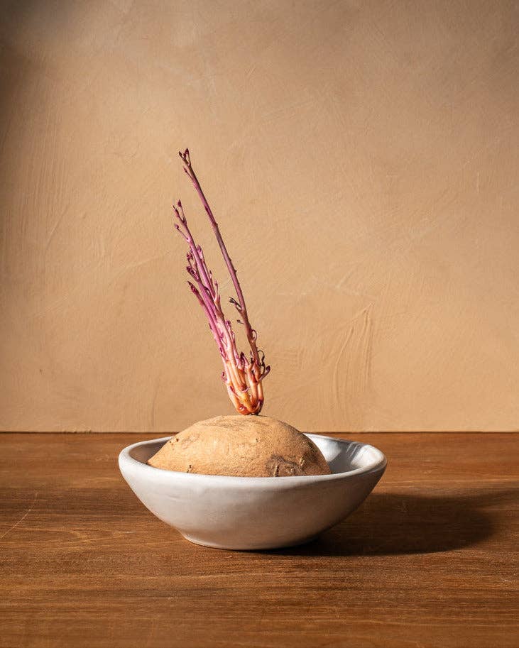Tunis Oval Small Bowl