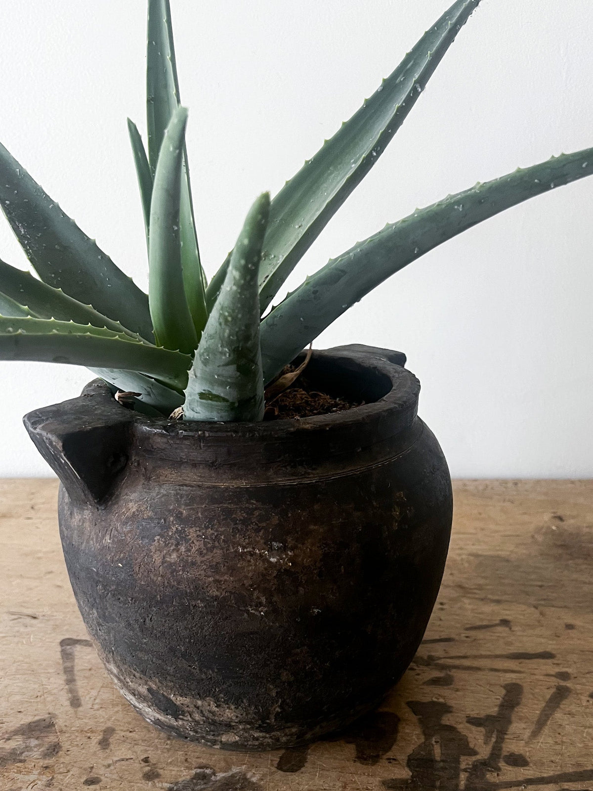 Double Handled Clay Pot- Medium