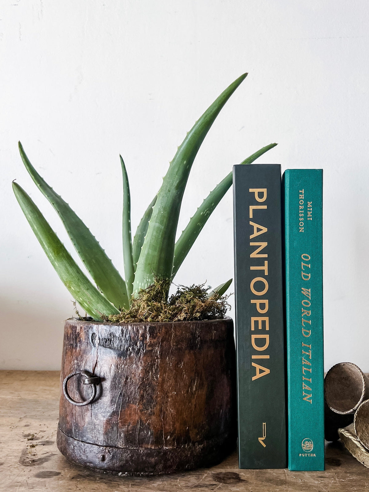 Petite Dark Wood  Bowl/ Planter