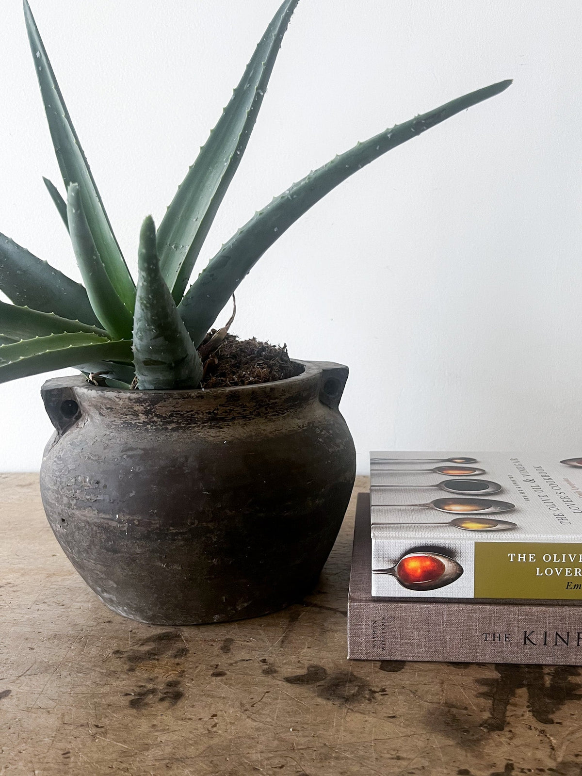 Double Handled Clay Pot- Medium