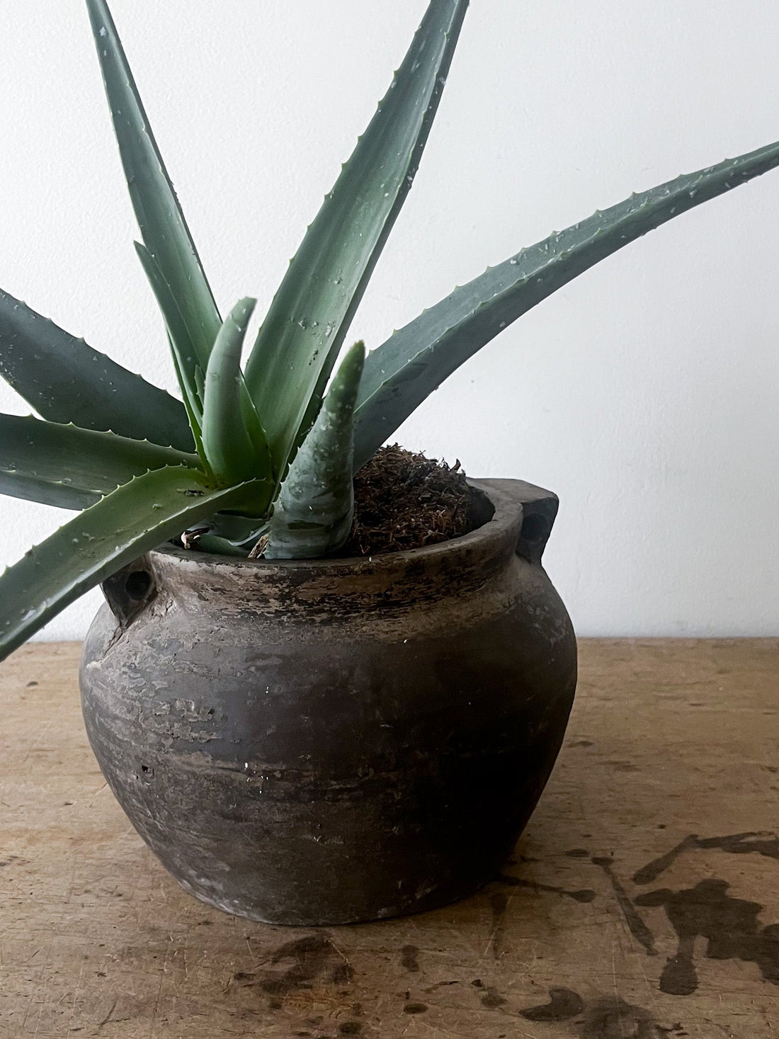 Double Handled Clay Pot- Medium